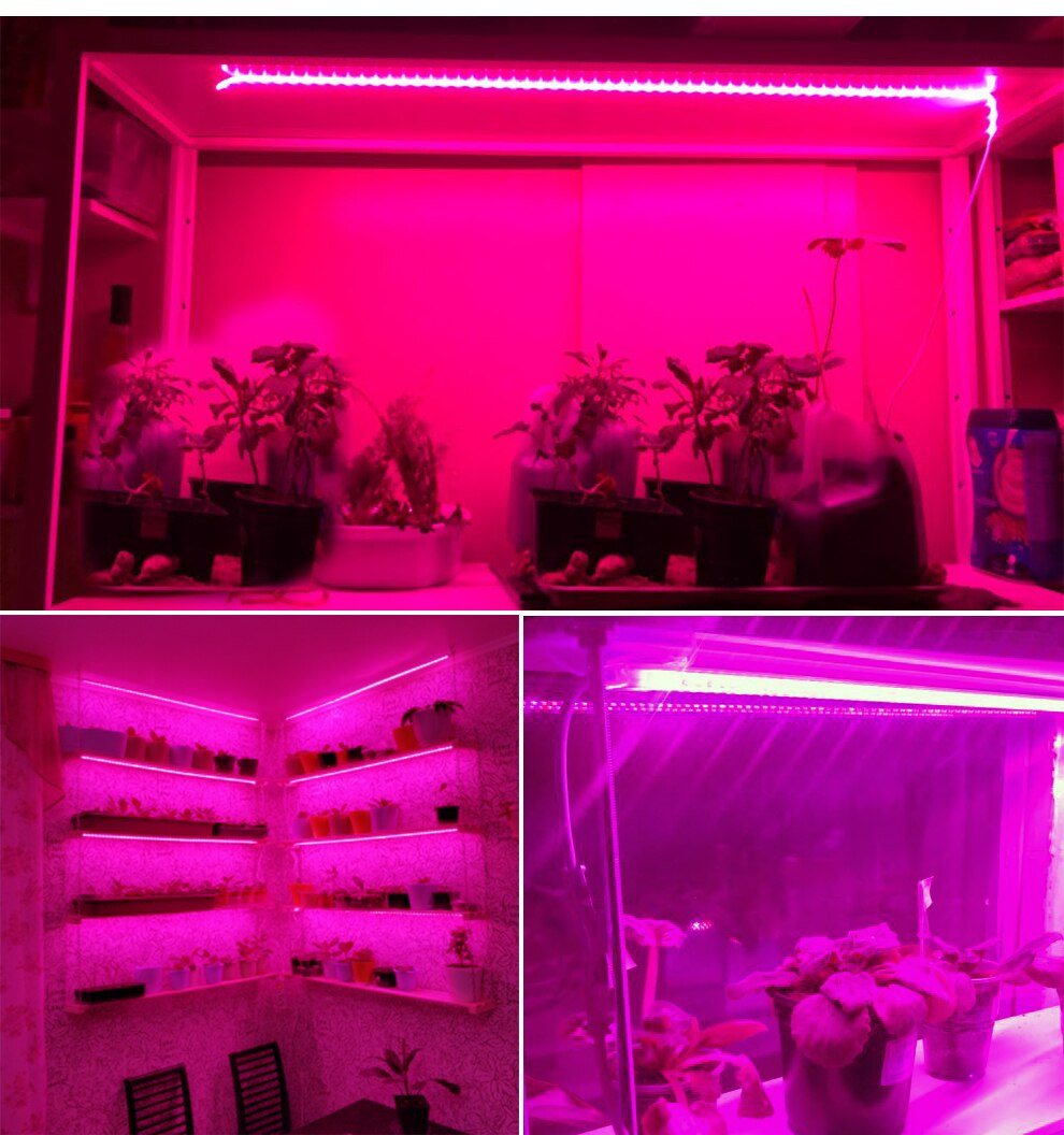 LED Grow Strip Full Spectrum Waterproof AC220V LED Grow Light 2835 LED Phyto lamps For Plants Flowers Greenhouses Hydroponic LED Grow Strip Full Spectrum Waterproof AC220V LED Grow Light 2835 LED Phyto lamps For Plants Flowers Greenhouses Hydroponic