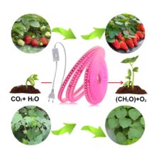 LED Grow Strip Full Spectrum Waterproof AC220V LED Grow Light 2835 LED Phyto lamps For Plants Flowers Greenhouses Hydroponic LED Grow Strip Full Spectrum Waterproof AC220V LED Grow Light 2835 LED Phyto lamps For Plants Flowers Greenhouses Hydroponic