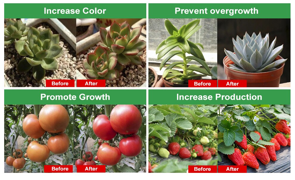 LED Grow Strip Full Spectrum Waterproof AC220V LED Grow Light 2835 LED Phyto lamps For Plants Flowers Greenhouses Hydroponic LED Grow Strip Full Spectrum Waterproof AC220V LED Grow Light 2835 LED Phyto lamps For Plants Flowers Greenhouses Hydroponic